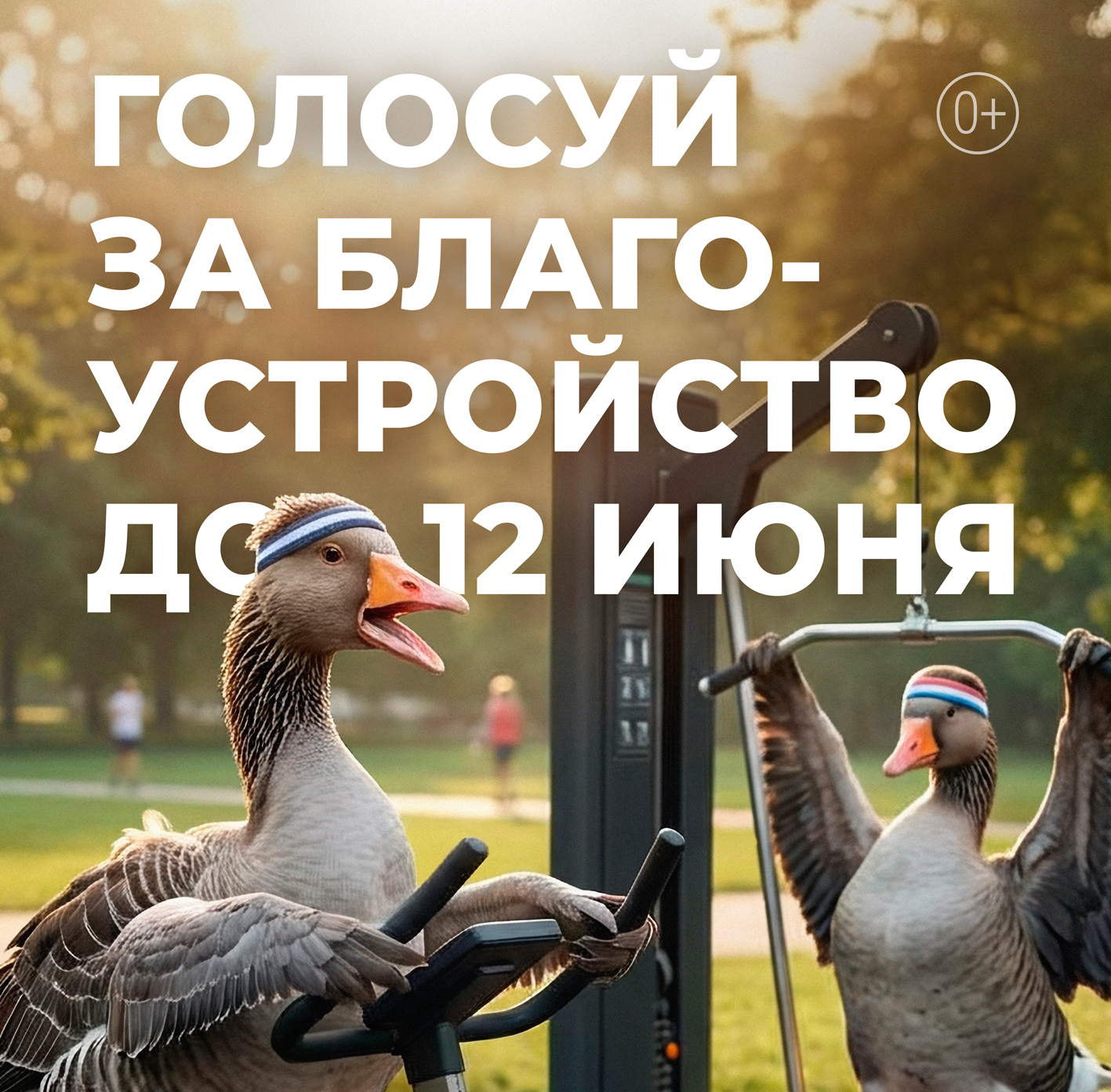 Стартовало голосование за объекты благоустройства: россияне меняют облик своих городов